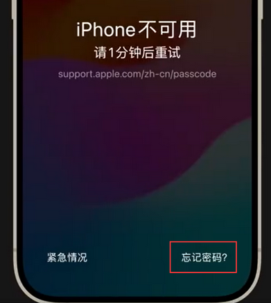 正宁苹果手机密码维修分享iPhone忘记了刚设置的密码 