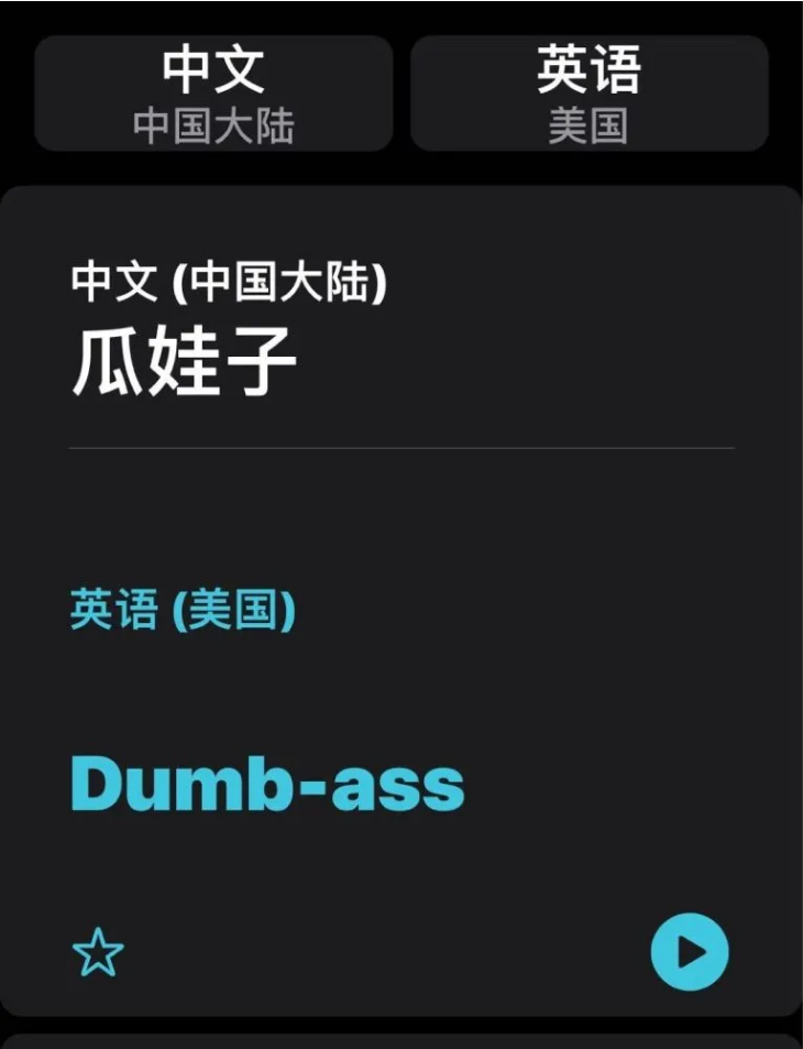正宁苹果手机维修分享iOS14的“翻译太懂了”怎么用 